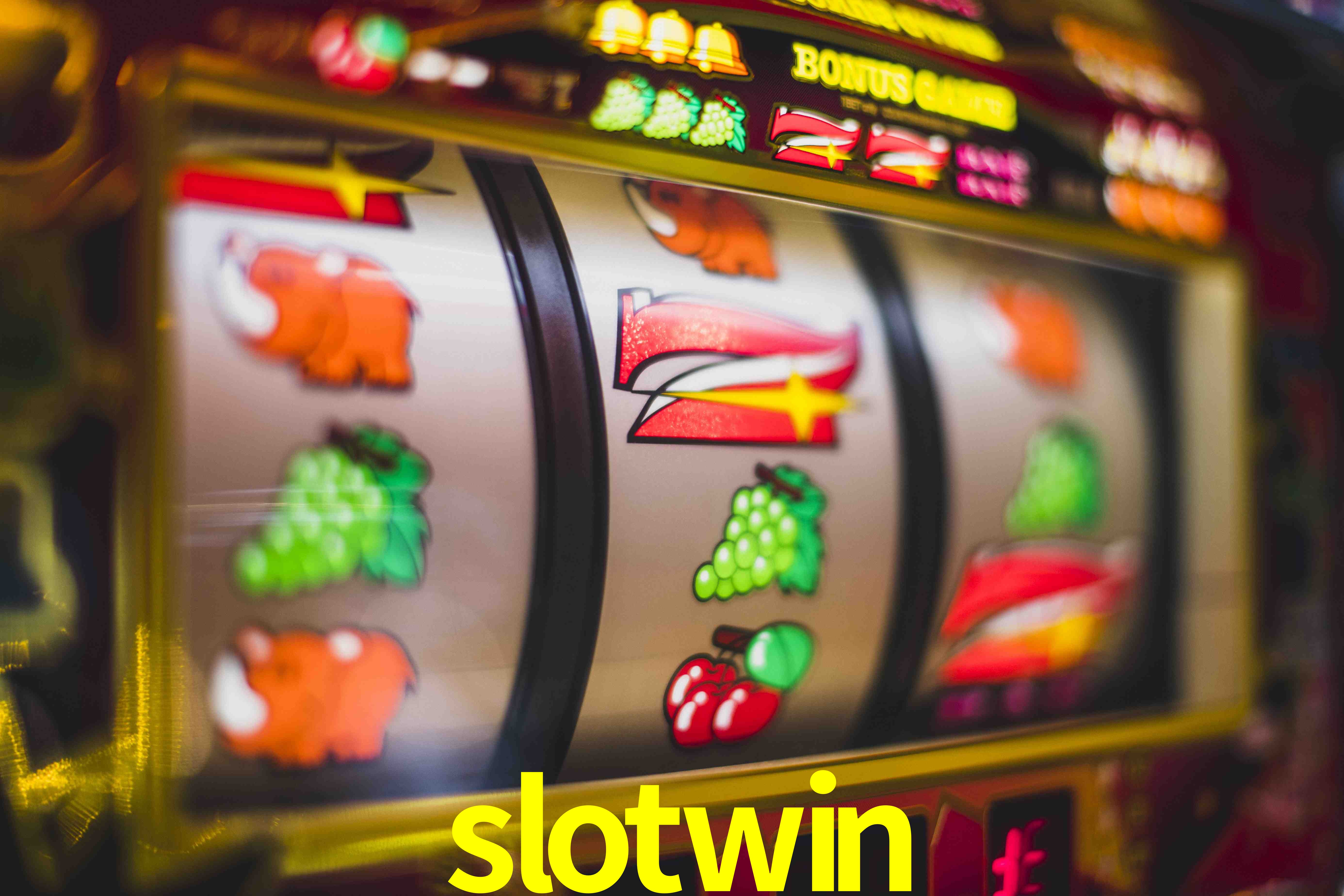 Statistics slotwin